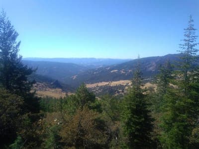 Mendocino National Forest