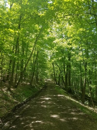 Merck Forest & Farmland Center