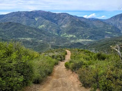 Mendocino National Forest