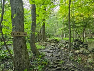 Mianus River State Park