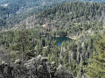 Mendocino National Forest