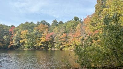 Middlesex Fells Reservation