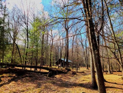 Michaux State Forest