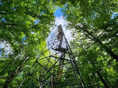 Mille Lacs Kathio State Park