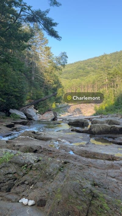 Mohawk Trail State Forest