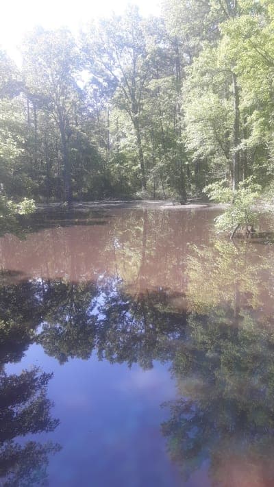 Moccasin Gap Trail System
