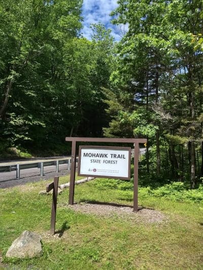 Mohawk Trail State Forest