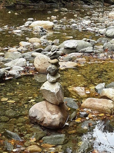 Mohawk Trail State Forest