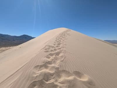 Mojave National Preserve