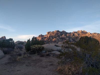 Mojave National Preserve