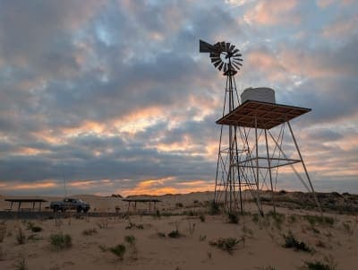 Monahans Sandhills State Park