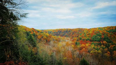 Mohican State Park