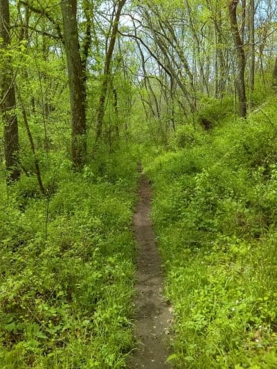 Monocacy Natural Resources Management Area