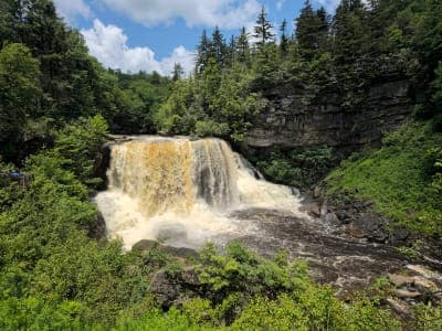 Monongahela National Forest - West Fork Trail