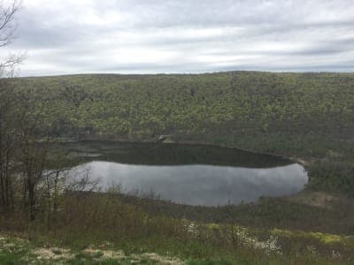 Morgan Hill State Forest