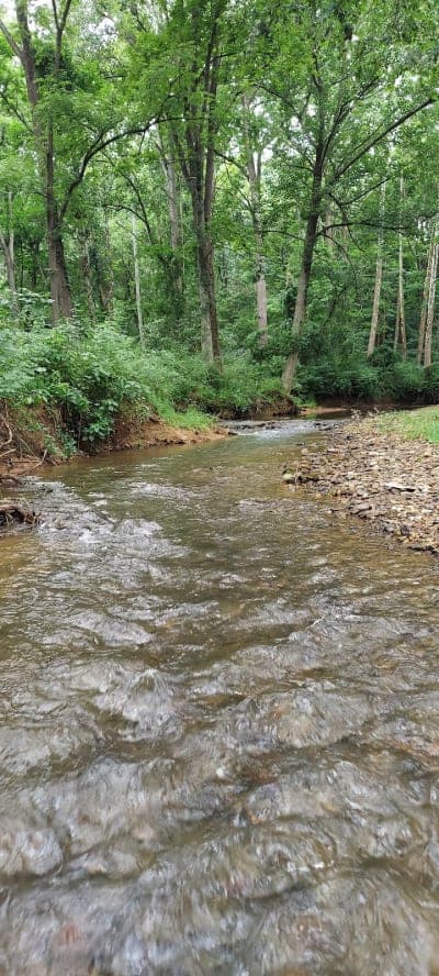 Morgan Run Natural Environment Area