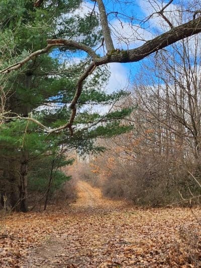 Morgan Run Natural Environment Area