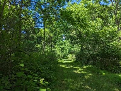 Morgan Run Natural Environment Area