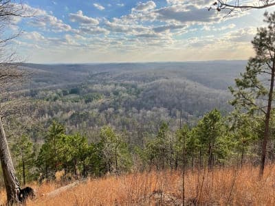 Morrow Mountain State Park