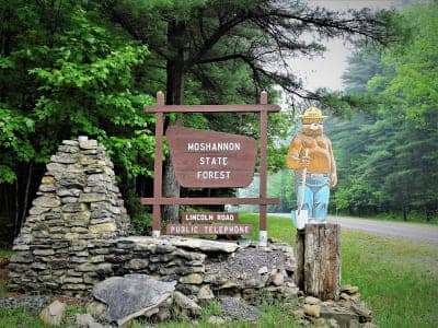 Moshannon State Forest