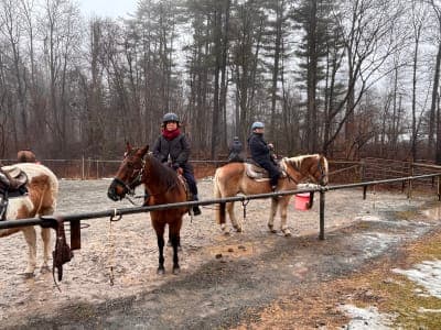 Mountain Creek Riding Stable
