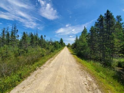 Mountain-Bay State Trail