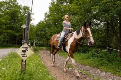 Mountain Creek Riding Stable