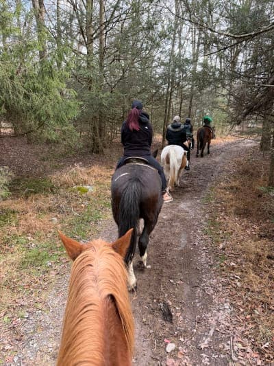 Mountain Creek Riding Stable