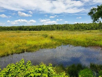 Mountain-Bay State Trail