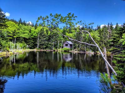 Mount Greylock State Reservation