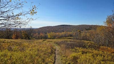 Mount Greylock State Reservation
