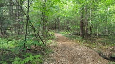 Mount Grace State Forest