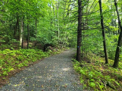 Mount Greylock State Reservation