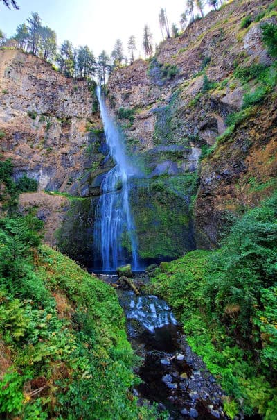 Mount Hood National Forest