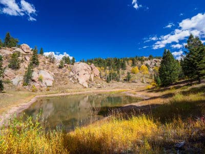 Mueller State Park