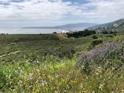 Mount Tamalpais State Park