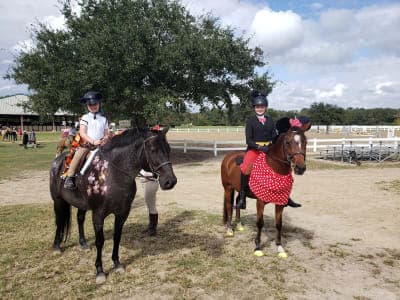 Mullet Hall Equestrian Center