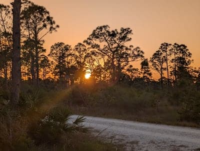 Myakka State Forest
