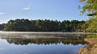 Myles Standish State Forest