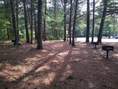 Myles Standish State Forest