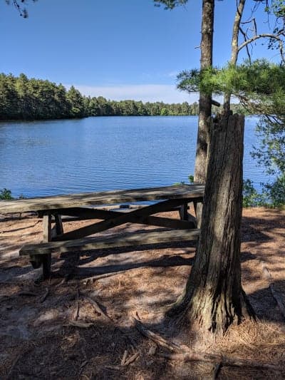 Myles Standish State Forest