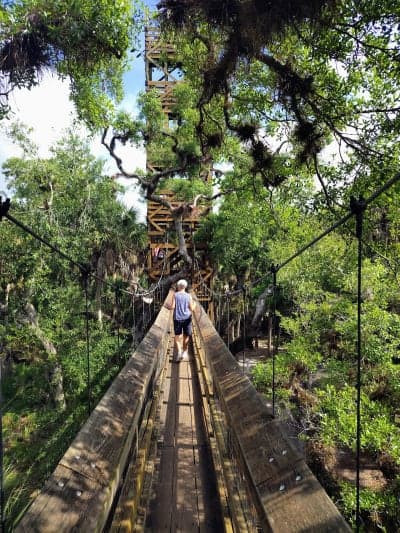Myakka River State Park
