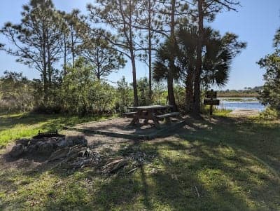 Myakka State Forest
