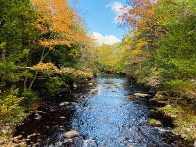 Natchaug State Forest