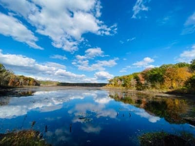 Natchaug State Forest