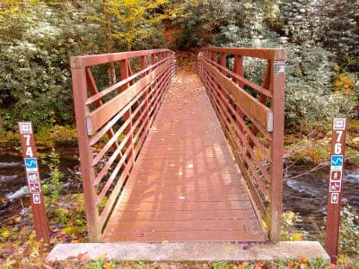 Nantahala National Forest / Bristol Fields Horse Camp