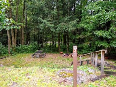 Nantahala National Forest / Wine Spring Horse Camp