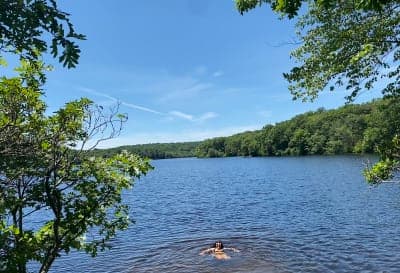 Nehantic State Forest