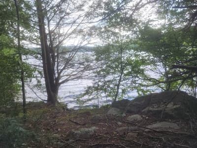Nepaug State Forest