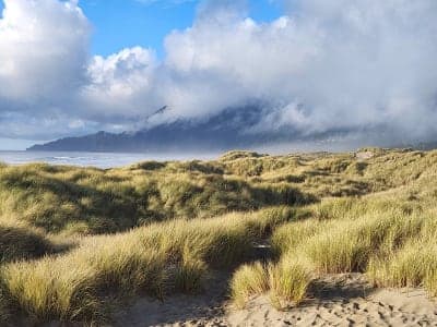 Nehalem Bay State Park